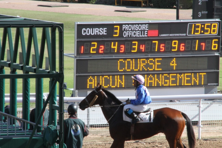 scoreborden voor paardensport
